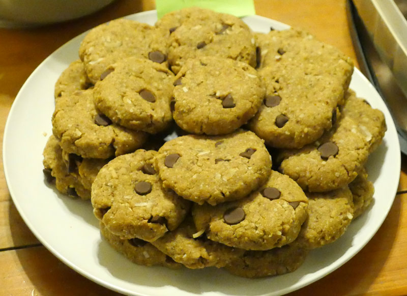 chocolate chip coconut oil cookies
