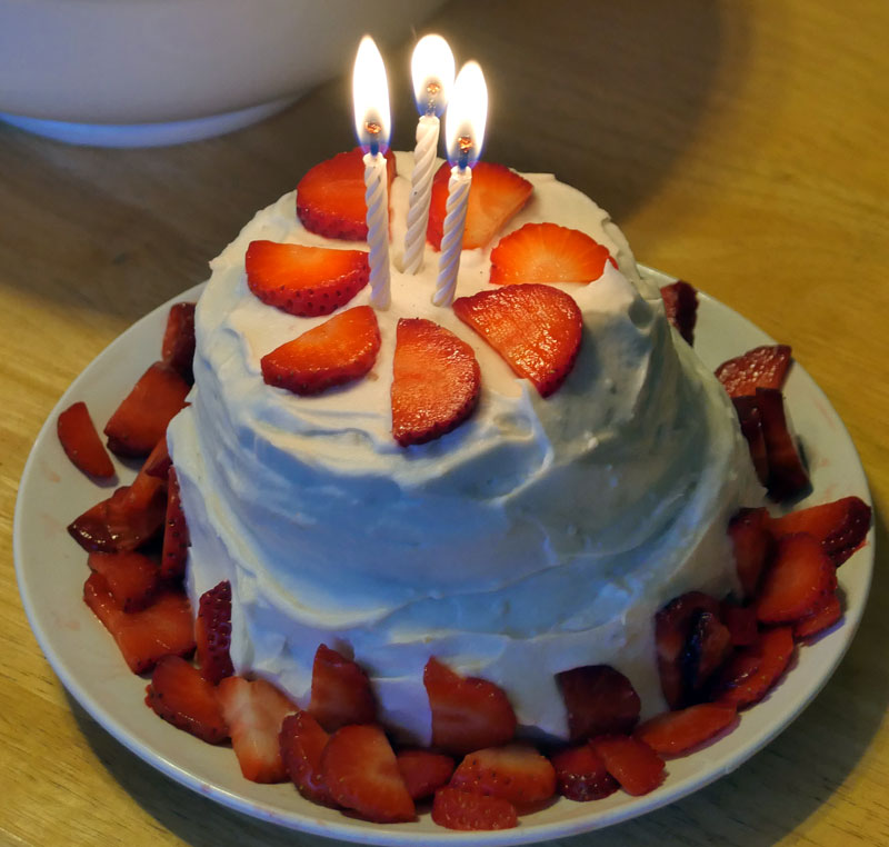 vegan orange anniversary cake