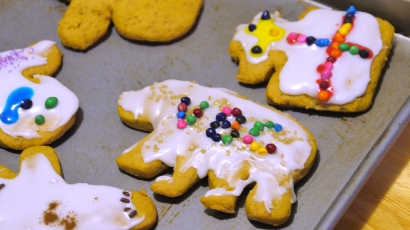 VBC bear cookie