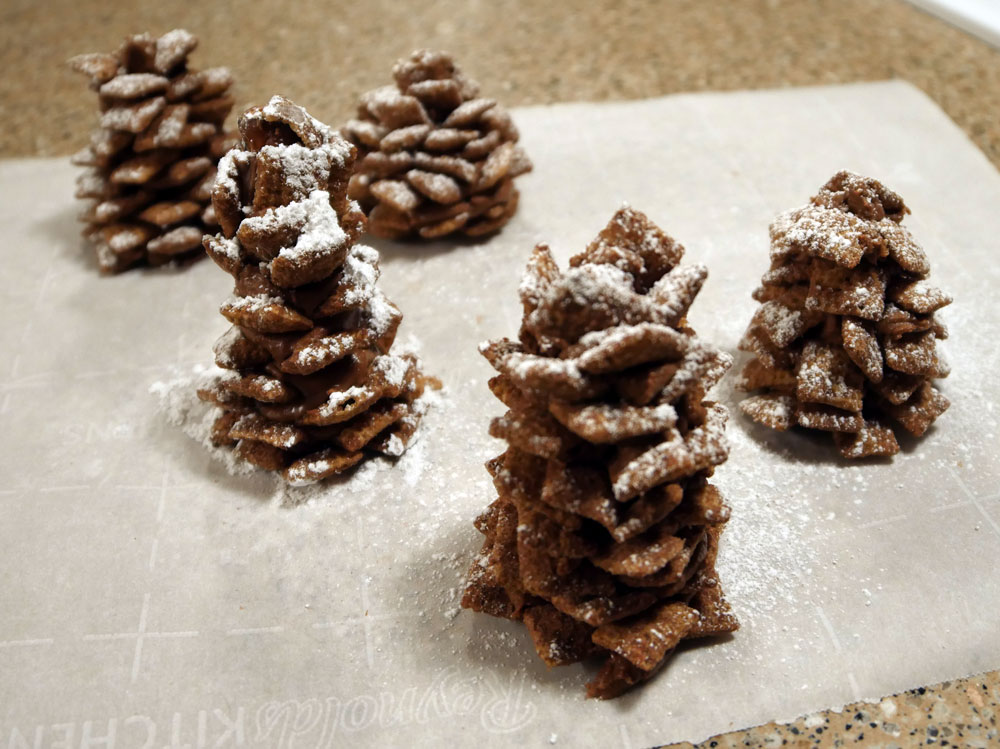 vegan chocolate pine cones