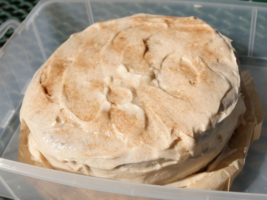 vegan apple cider cake