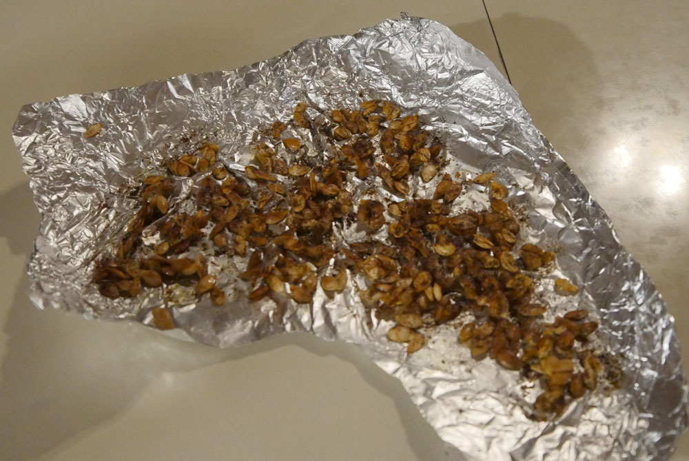 roasted seeds