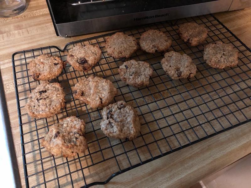 vegan banana raisin oatmeal cookies