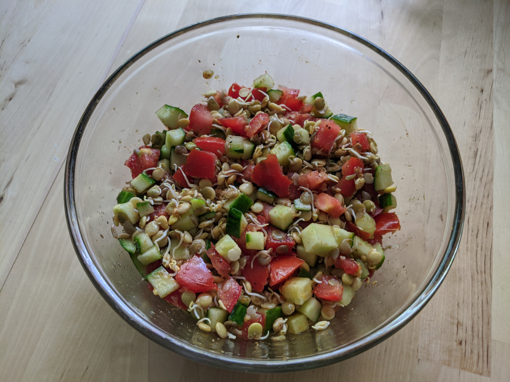 sprouted lentil salad