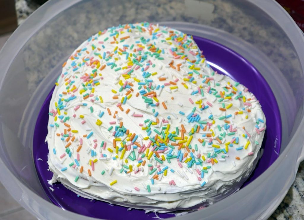 vegan Funfetti cake